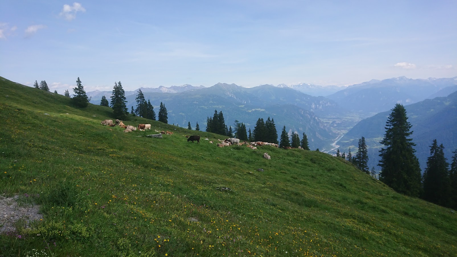 Der erste Tag auf der Alp