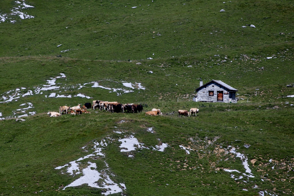 Tegia Culm dall'Alp Mora