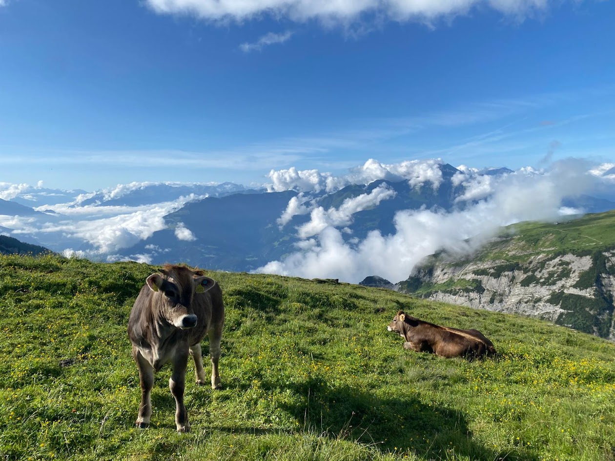 Sch&ouml;ner Ausblick von den oberen Weiden