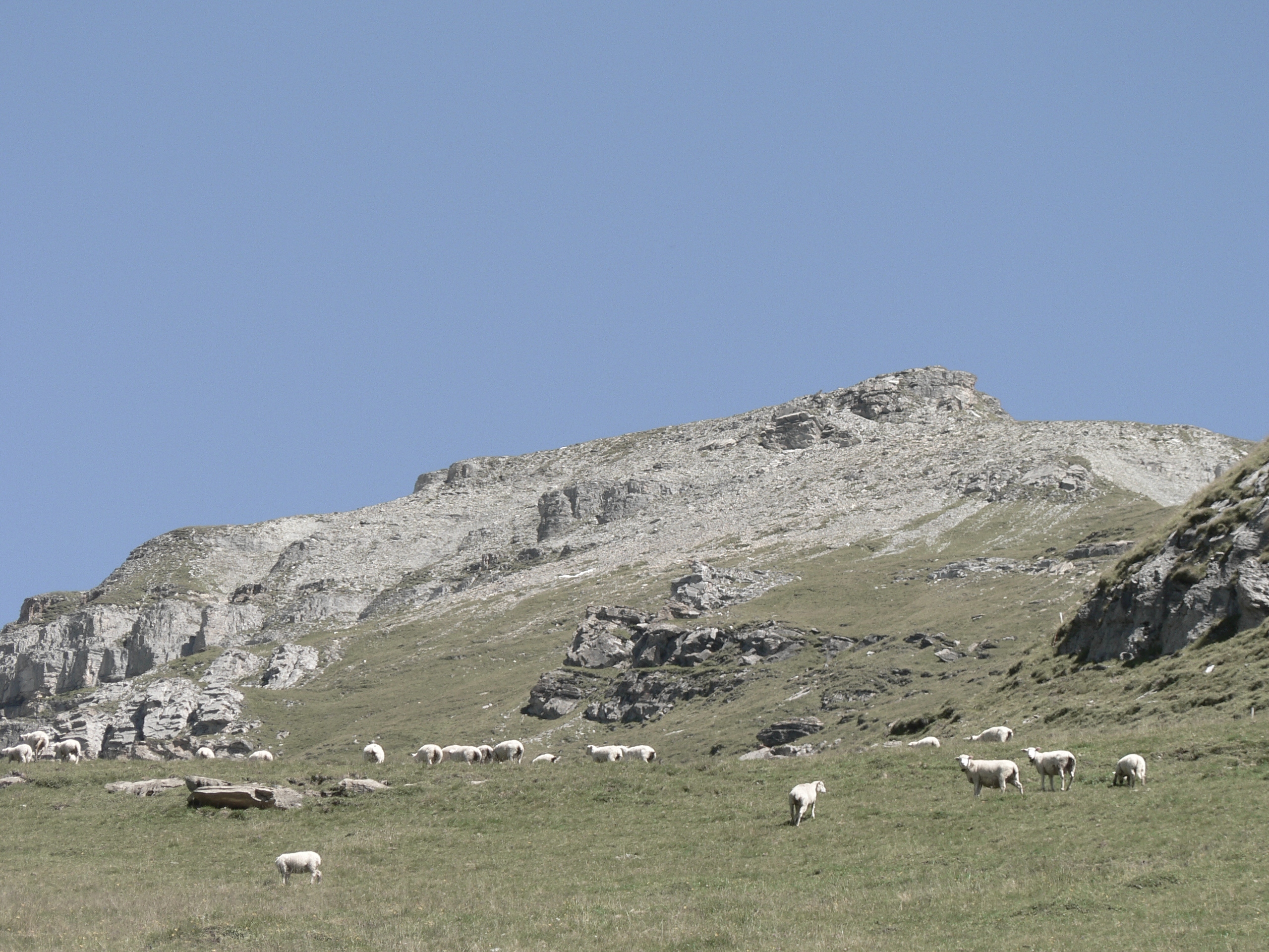 Drauss mit Mirutta im Hintergrund